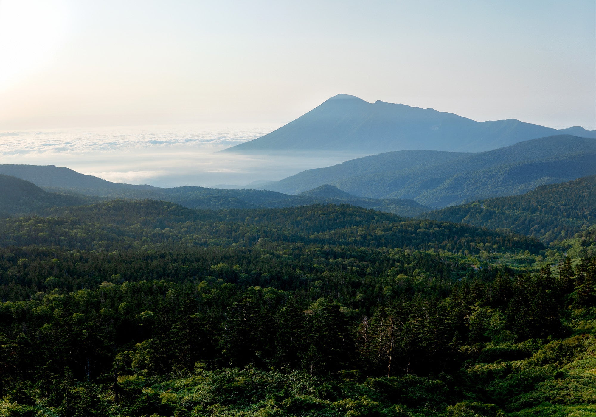 朝日が差し込む広大な山々と深い森の風景