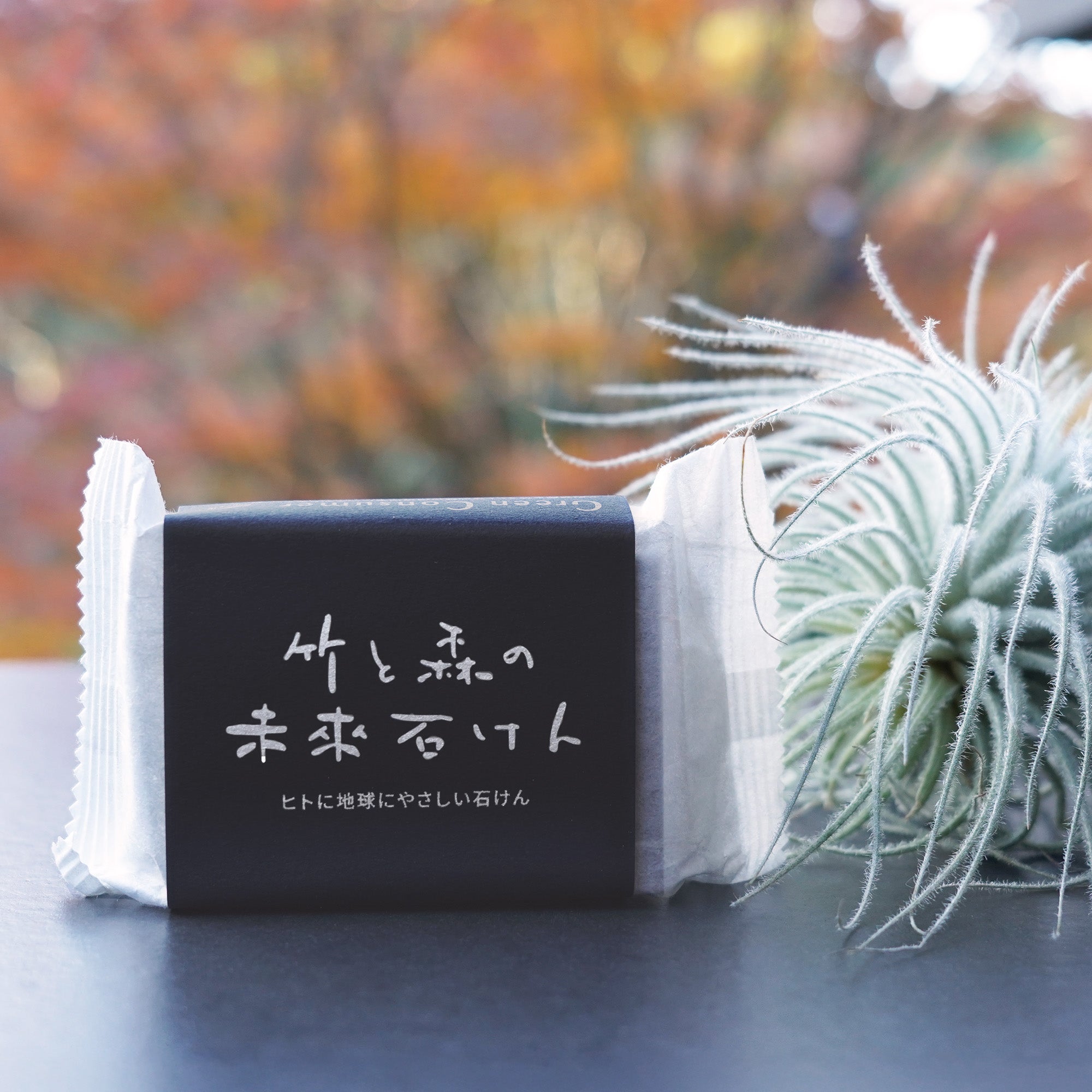 「竹と森の未來石けん」竹炭をイメージしたシックな黒の帯と、自然に溶け込む上質なのパッケージデザイン