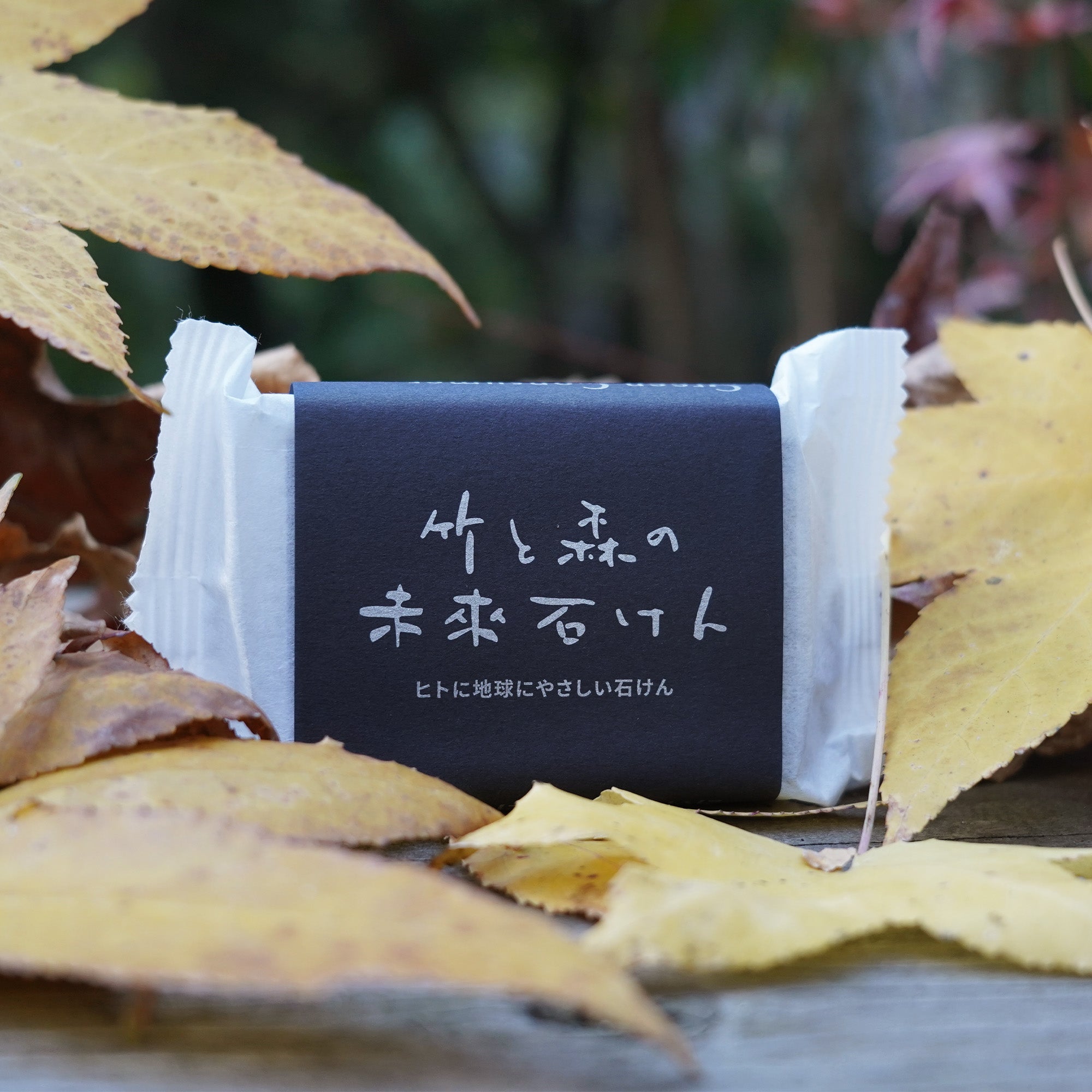 色づいた落ち葉の上に置かれた「竹と森の未來石けん」。使い終わった後も自然へ還り、環境を汚さないという想いを象徴する一枚