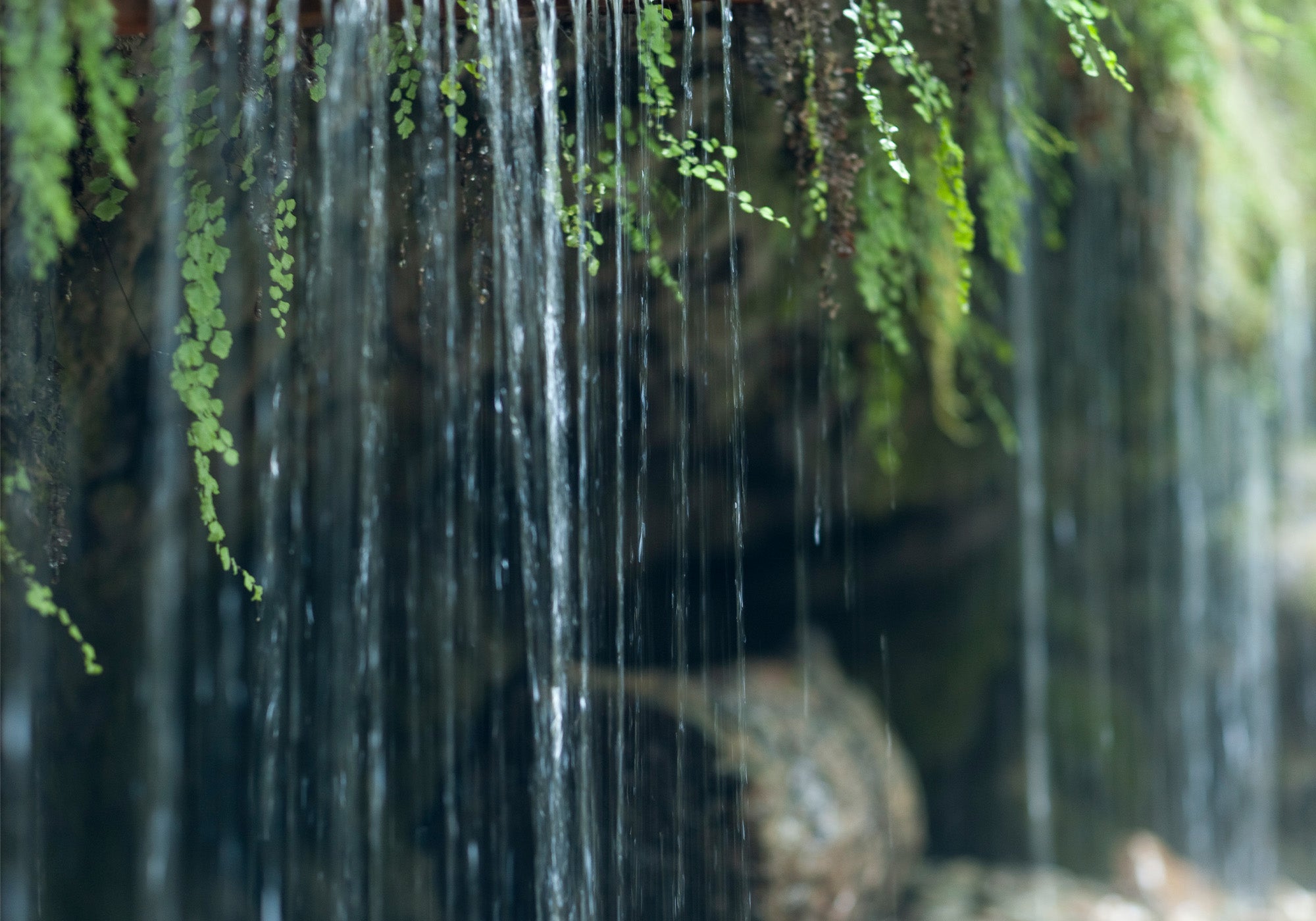 森の中を流れる清らかな小さな滝。水の循環をイメージ。
